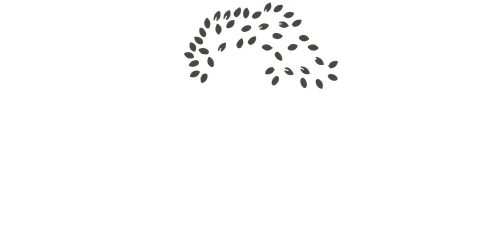 Cindy Andriolli - Psicóloga Clínica